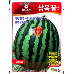수박씨앗 200립 삼복꿀 만고병 과실썩음병 검사필 전문가용 수박종자