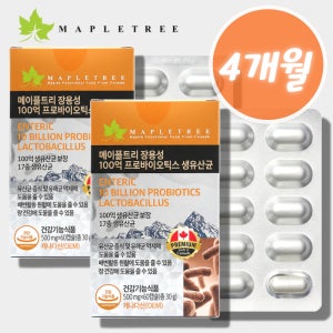 비피더스B3유산균 락토바실러스플란타룸 장용성캡슐 유산균 60캡슐, 2개