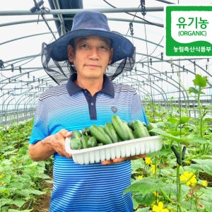 조윤농장 유기농 미니오이 2kg 당일수확
