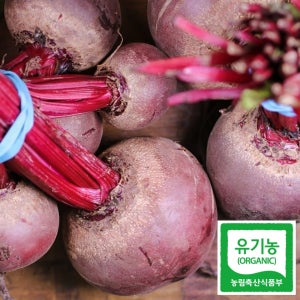 국내산 유기농 레드비트 해남 친환경 비트 5kg, 1개