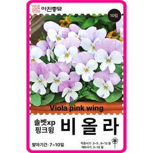 비올라 씨앗 솔벳xp 핑크윙 / 10립 비올라 팬지 꽃씨 꽃씨몰 봄꽃 종자
