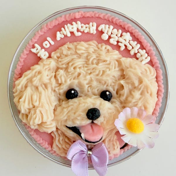 9cm 수제 입체 생일 강아지케이크 저알러지 반려견 선물 컵케이크 얼굴가득