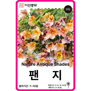 팬지 꽃 씨앗 앤틱쉐이드 / 10립 F1교배종 종자 비올라 꽃씨 몰 고급 종자