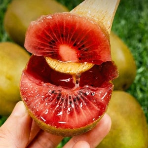 (주문폭주) 루비 레드키위 1.7kg 해나미 제스프리 체리블라썸 안토시아닌 폭탄