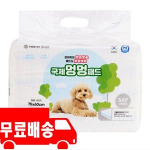 국제멍멍패드 친환경 반려견패드대형 1팩 30매