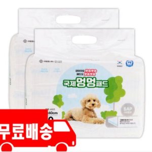 국제멍멍패드 친환경 반려견패드대형 2팩 60매