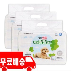 국제멍멍패드 친환경 반려견패드대형 3팩 90매
