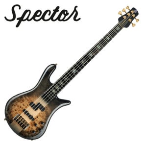 Spector 스펙터 베이스 Euro 5 CST Natural Burst