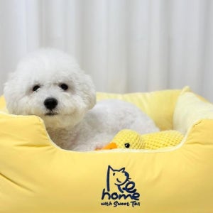 [스윗테일] 핸드메이드 강아지방석 하우스베드 플랫 (미디엄,라지)