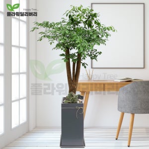 180CM특대형 해피트리 행복나무 개업식 개업화분 당일배송 카페 병원