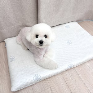 페리가토 강아지 여름 쿨방석 슈퍼 냉감 고양이 포르페 미니 쿨매트