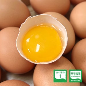 난각번호 1번 계란 자연을담은 자연방사유정란 무항생제 대란 15구