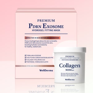 웰더마 PDRN 엑소좀 하이드로 겔 피팅 마스크 팩 40매(10박스) + 토너패드 60매