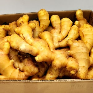 수입 생강 명강 중국산 생강 5kg, 1개