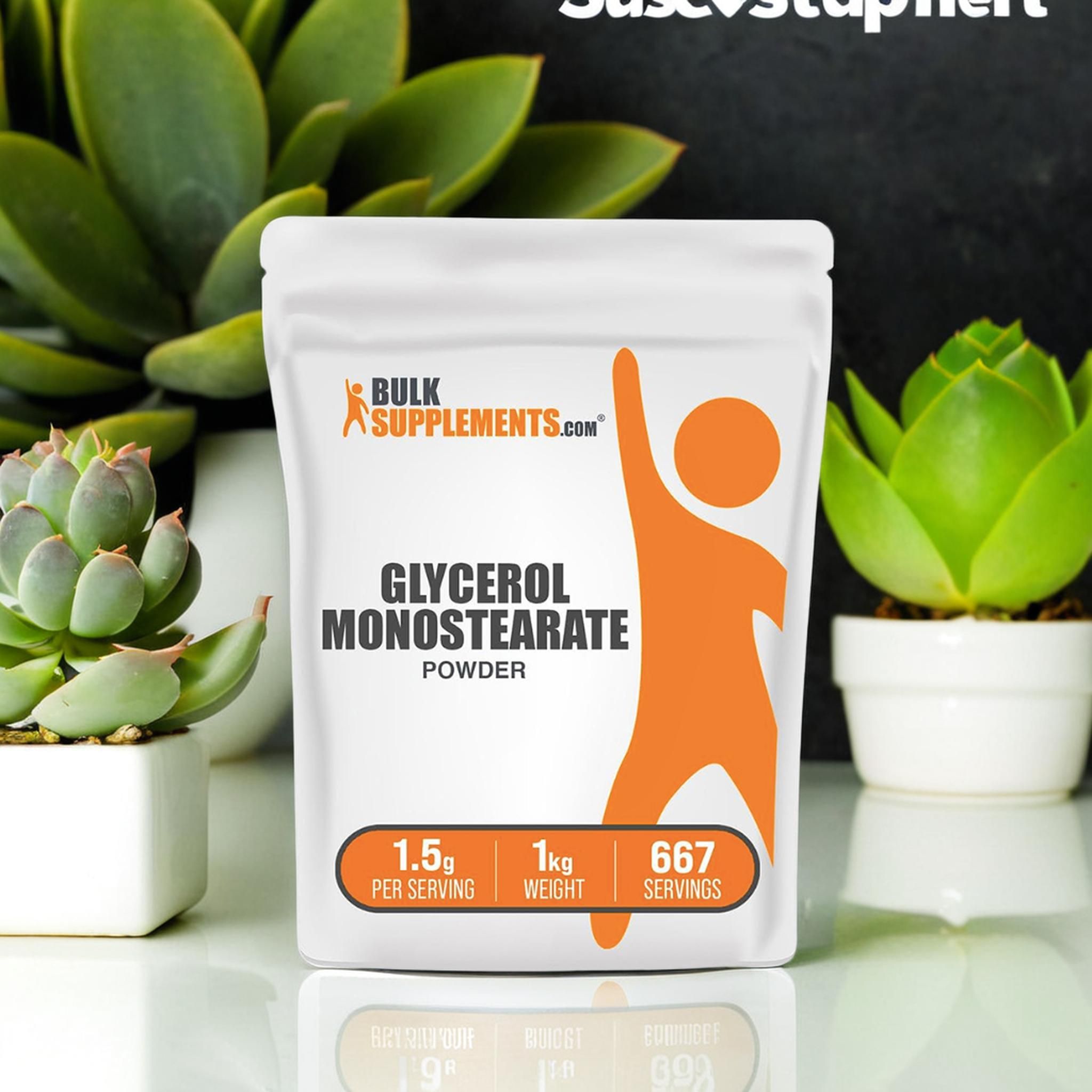 벌크서플먼트 <b>글리세롤</b> 모노스테아레이트 분말 파우더 1kg BulkSupplements
