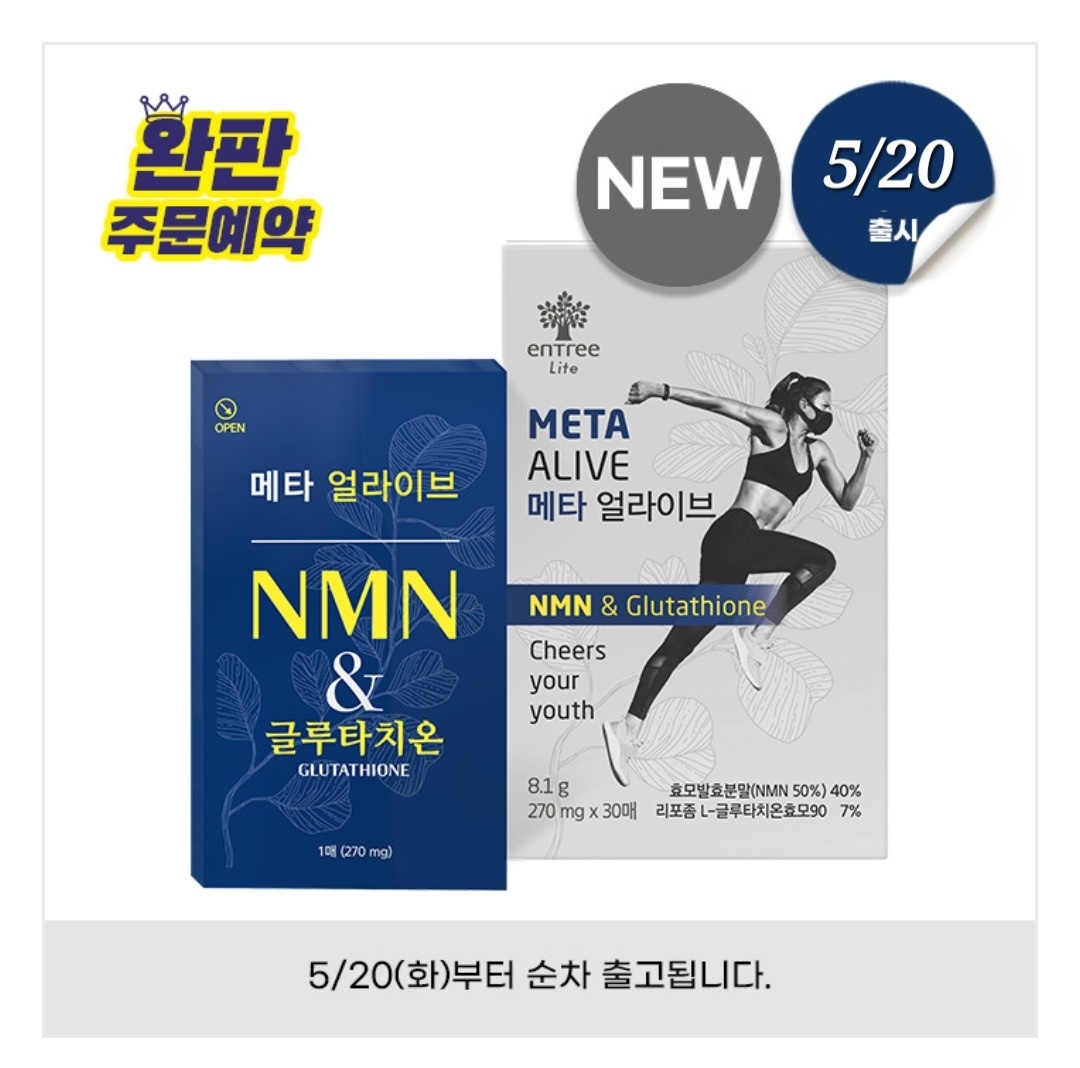 엔트리 라이트 메타얼라이브