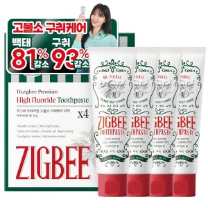 지그비 대용량 고불소 구취케어 박하선 치약 백태 입냄새 제거 아쿠아민트향 117g, 4개