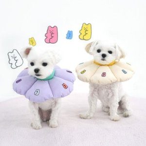 젤리 베어 꿀잠 쿠션 넥카라 목 보호대 넥쿠션