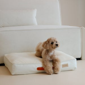 펫바이블 강아지 쿨매트 여름 냉감 듀라론 애견 사각 방석 사계절 쿠션 침대 패드 고양이