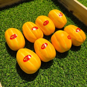 초고당도 성주 꿀참외 9kg 13brix 특품