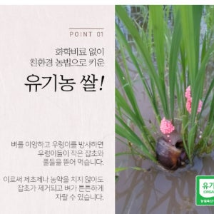 바라미 유기농쌀 백미 5kg, 1개