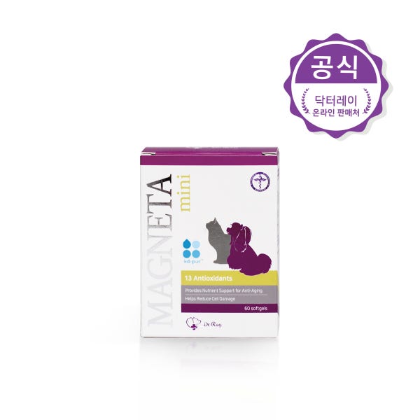 [예약구매] 닥터레이 마그네타 미니 강아지 항산화제 영양제 레이앤이본
