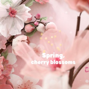 벚꽃포토월세트 시즌2, 대형조화+하단장식포함 축제, 전시, 공공기관용 백월 렌탈