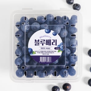 린디 국내산 생 블루베리 충북 햇블루베리 항산화 슈퍼푸드