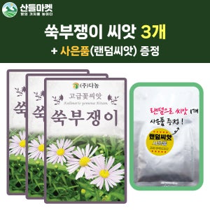 산들마켓 쑥부쟁이 씨앗 1.5g 쑥부쟁이 꽃씨 야생화 종자 3개+랜덤씨앗1개 증정