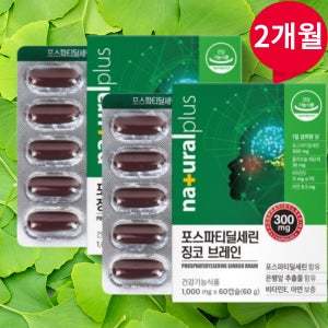 포스파티딜 포스파스딜세린 포스피티딜세린 포스파딜세린 포스파티디셀린 포스파티릴세린 징코브레인