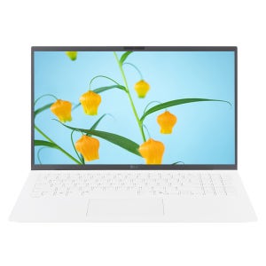 LG전자 LG그램 15ZD90T-GX56K 노트북