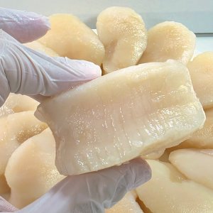 키조개 관자 10kg 대용량 업소용 자연산 바른 버터구이 게아지살 삼합 조개구이 도매 바른유통