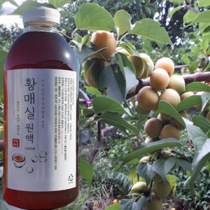 수제 매실청 지리산산골 3년숙성 황 매실원액 자연발효 숙성 매실액기스 매실액 1000ml