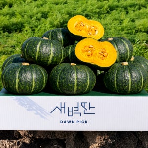 제주 보우짱 미니 단호박 밤호박 2kg 5kg