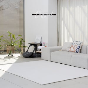 워셔블 거실 러그 170x230 먼지없는 사계절