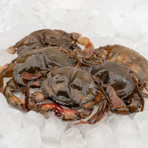 소프트쉘크랩 900g 냉동 탈피 꽃게 푸팟퐁커리