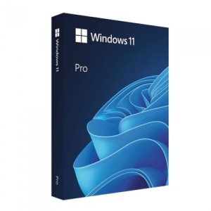 Microsoft Windows 11 Pro (처음사용자용 한글)