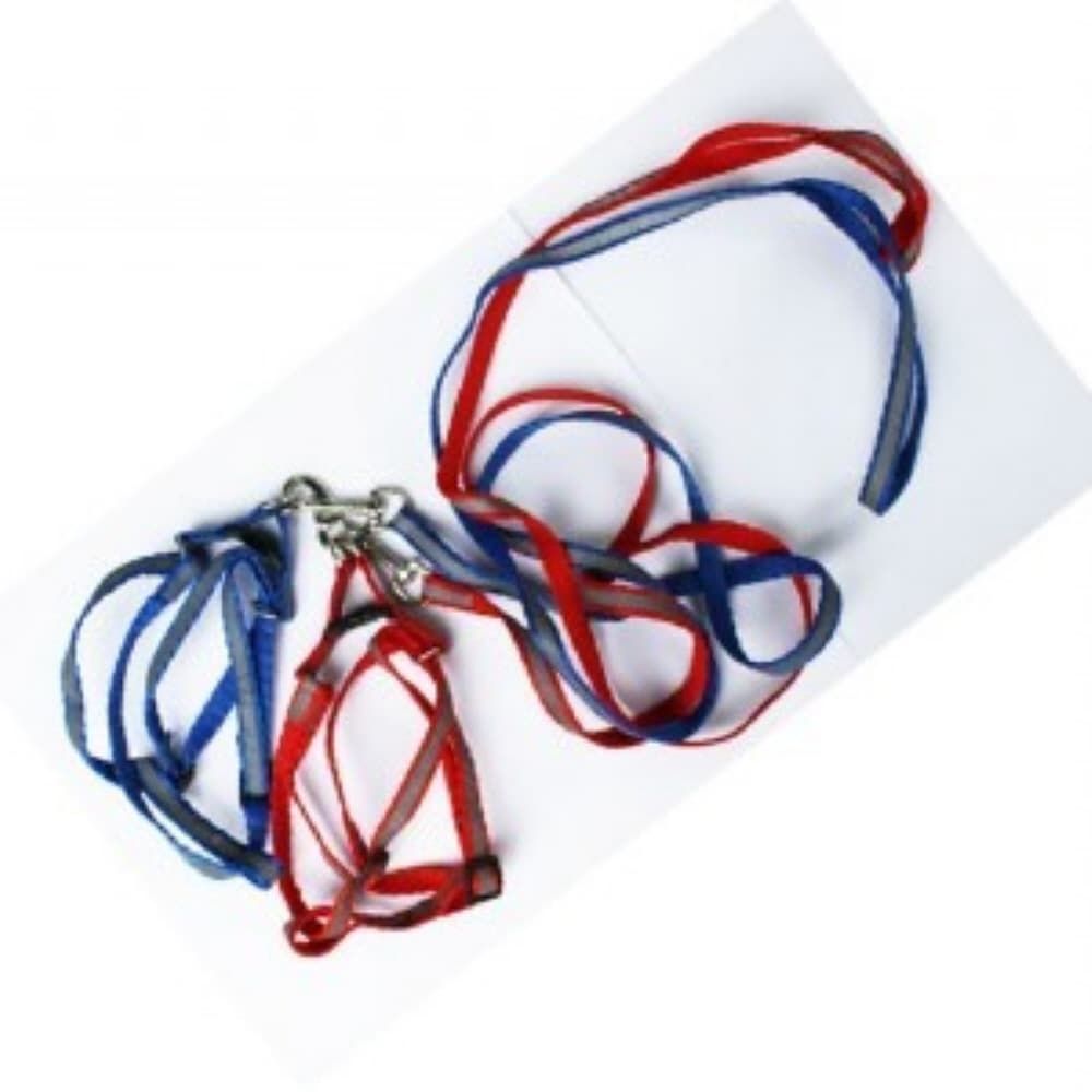 [3개묶음] 반사 가슴줄세트 10mm 목줄추천 목줄브랜드