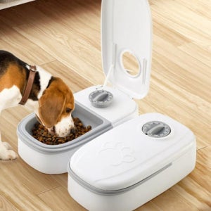 강아지 자동 사료 급여기 타이머 자동 배식기 습식 자동 급식기