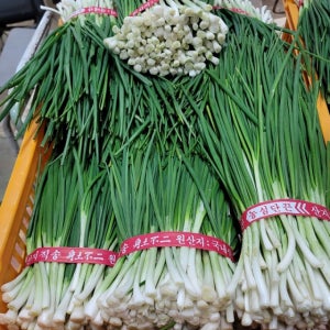 (당일손질)깐쪽파 쪽파 잔파 실파 1단1KG