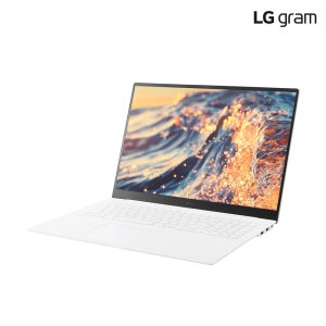 LG그램 프로 2025 최신 17ZD90TP-GX59K 512GB 인텔 15세대 32GB