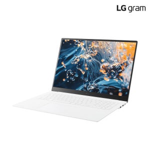 LG그램 프로 2025 최신 17ZD90TP-GX79K 1TB 인텔 15세대 32GB
