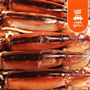 신진도 오징어 동해안 냉동 초코오징어 20미 태안 서해안 신진항