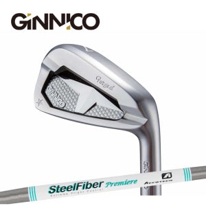 GINNICO 2025 지니코 PC 아이언 6개세트 5-P 스틸파이버 프리미어 65 R(택1)