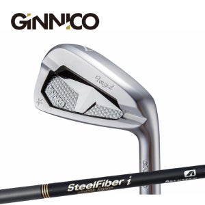GINNICO 2025 지니코 PC 아이언 6개세트 5-P 스틸파이버 블랙리저브 60 R(택1)