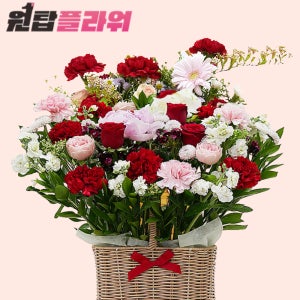 카네이션 생화 꽃바구니 어버이날 스승의 날 생일 개업 꽃배달 전국 꽃배달