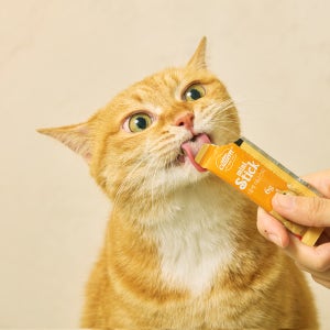 [100원이벤트] 캣템 미니스틱 짜먹는 고양이 츄르 간식 대게, 6g, 1개
