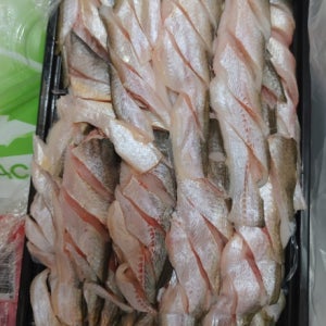 웅어 자연산 선어 웅어회 봄전어 회세트 제철생선