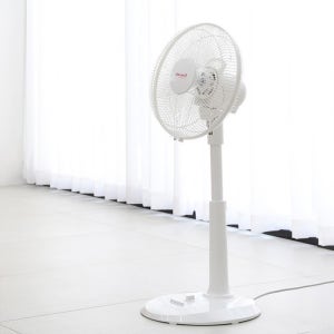 신일 심플형 5엽 30cm 스탠드선풍기/키높이 업소용 사무실 가정용 저소음선풍기