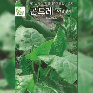 곤드레씨앗종자 곤드레 100립